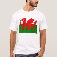 Drapeau gallois dragon rouge gallois