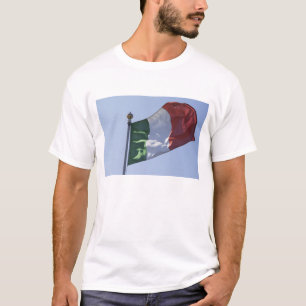 T-shirt Drapeau irlandais