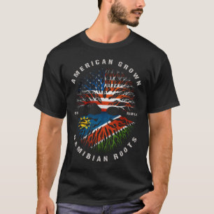 T-shirt Drapeau namibien des racines américaines Namibie