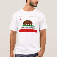 Drapeau Tardigrade de République