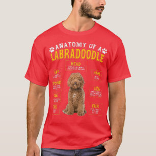 T-shirt Drôle Anatomie Labradoodle Cadeaux Pour Femmes Hom