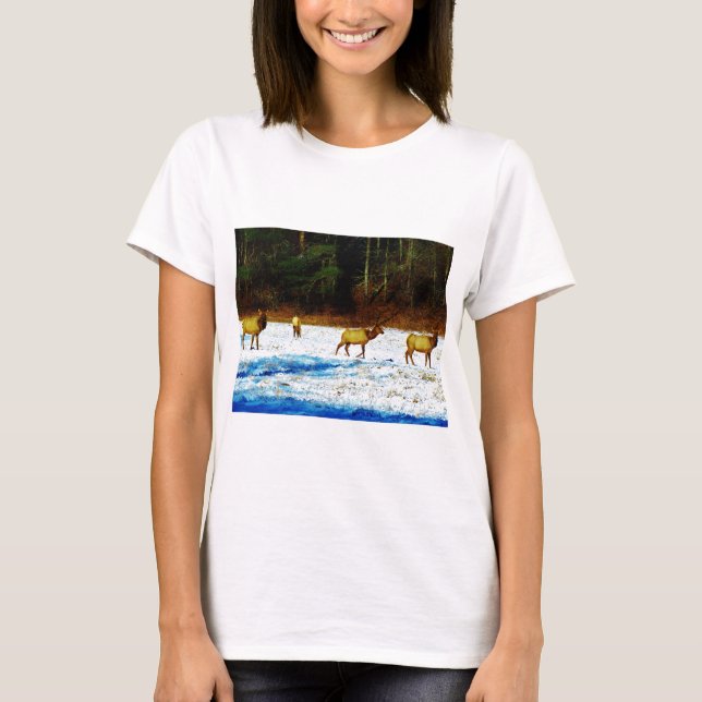 T-SHIRT DSC00131.JPG (Devant)