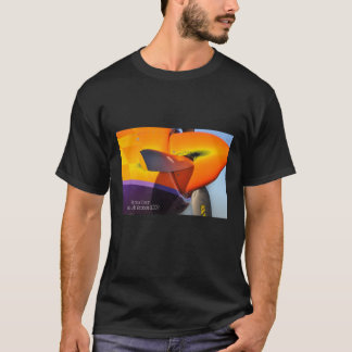 T-shirt DSC_0834, air rare de BearReno emballe 2009
