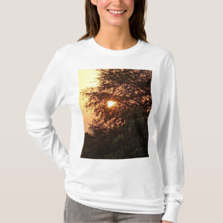 T-shirt du groupe Satyam