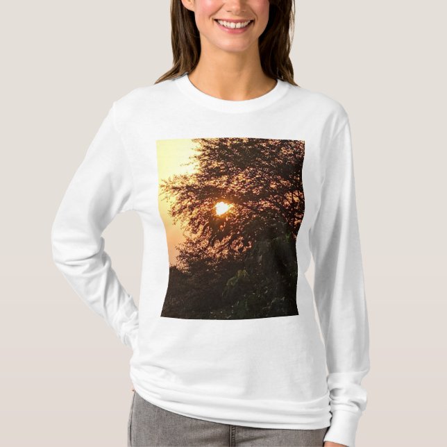 T-shirt du groupe Satyam (Devant)