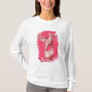 T-shirt Eagle avec les ailes répandues sur une boule
