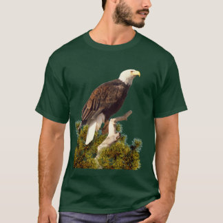 T-SHIRT EAGLE CHAUVE