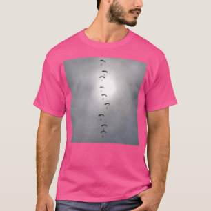 T-shirt Écran de parachute RAF Falcons
