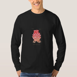 T-shirt Écran marin de Hoya