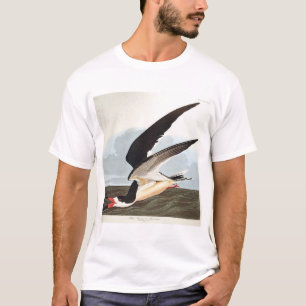 T-shirt Écumoire noire ou Shearwater