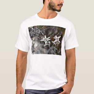 T-shirt Edelweiss alpin