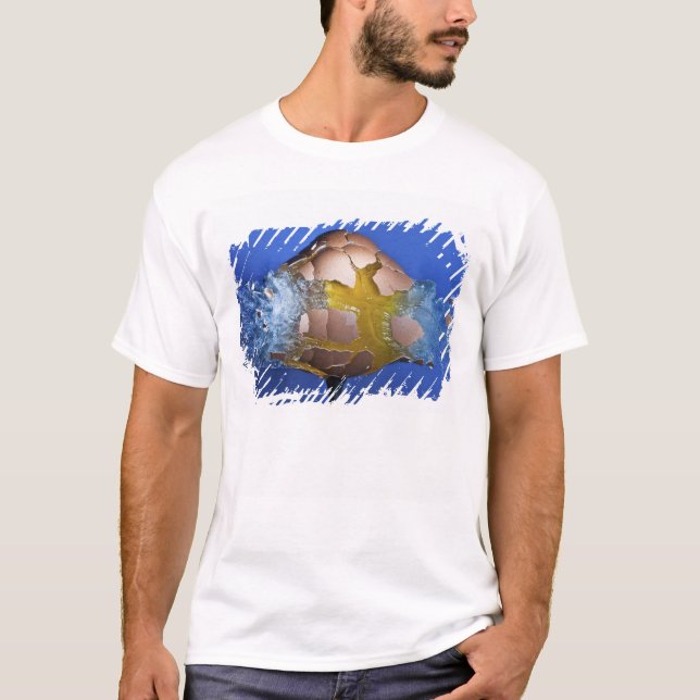 T-shirt Eggceptional (Devant)