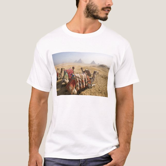 T-shirt Egypte, Le Caire. Repose des chameaux (Devant)
