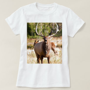 T-shirt Élans Bugling
