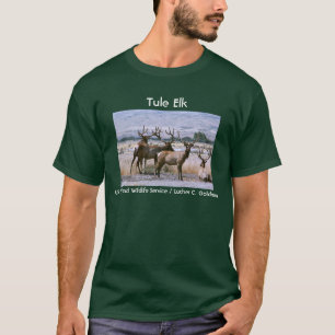 T-shirt Élans de Tule
