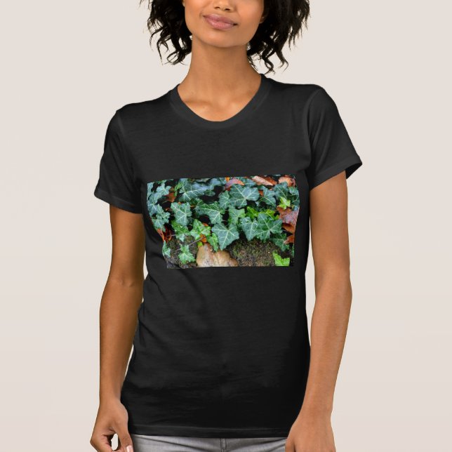 T-shirt Élégant classique vert ivoire et pierre de campagn (Devant)