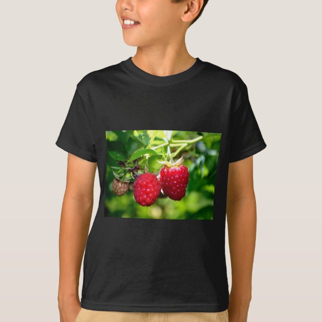 T-shirt Elégante framboise rouge classique (Devant)