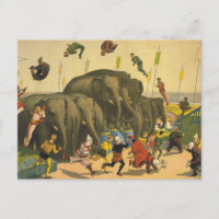 T-SHIRT Elephant Acrobats