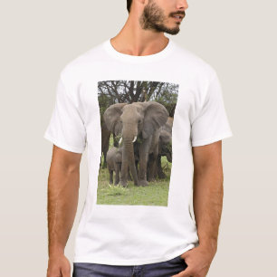 T-shirt Éléphant d'Afrique Troupeau