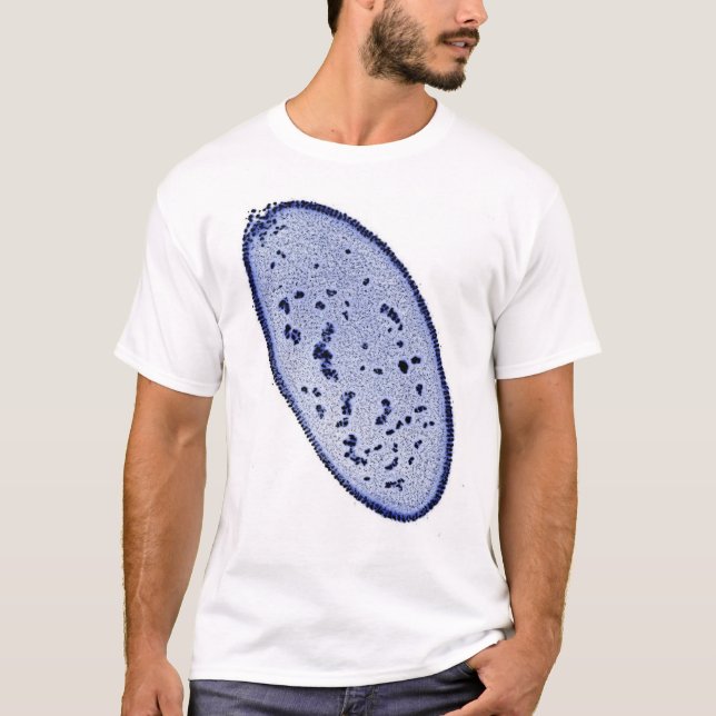 T-shirt embryon de drosophile - tache d'ADN (Devant)