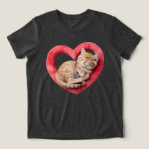 Adorable Sleeping Cat Furry Heart