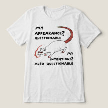 Apparence et intentions douteuses