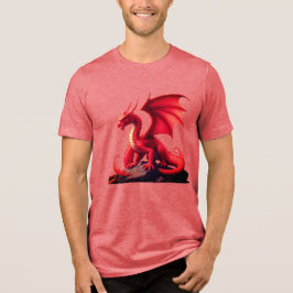 T-SHIRT  EN TRI-MATIÈRE DRAGON