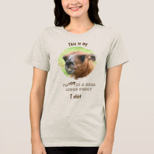 T-shirt En Tri-matière Llama en colère Humeur mauvaise Drôle 