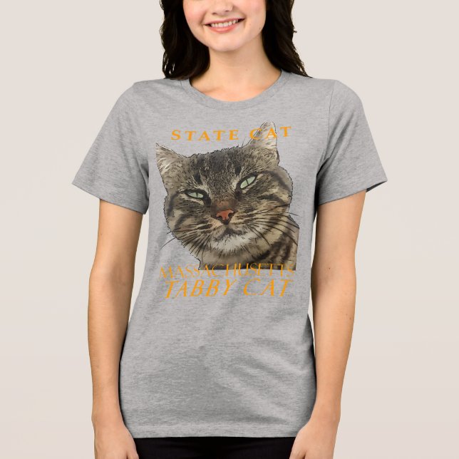 T-shirt En Tri-matière Massachusetts Territoire Chat Le Charmant Tabby Ch (Recto)