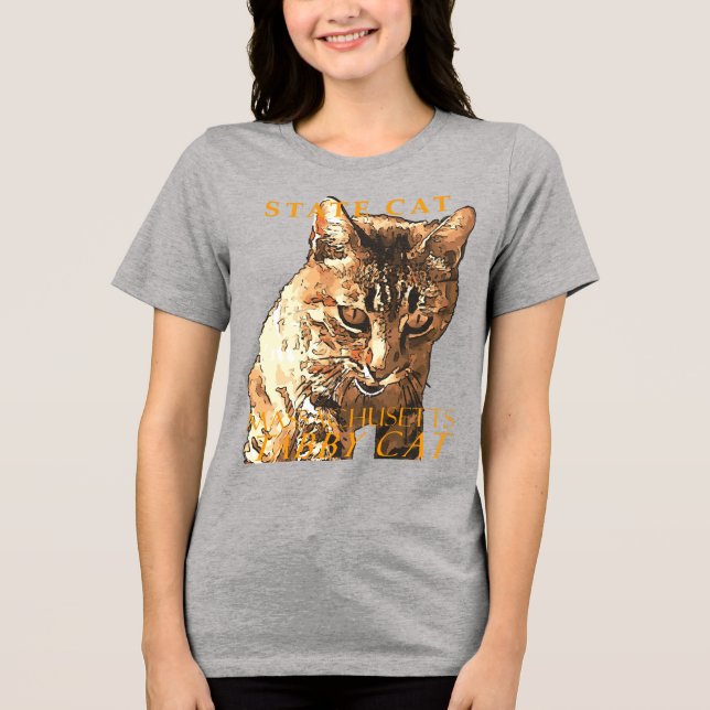 T-shirt En Tri-matière Massachusetts Territoire Chat Le Cute Tabby Chat (Recto)