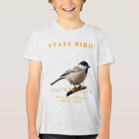 Massachusetts Territoire Oiseau Le Chickadee