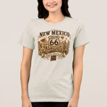 Nouveau Mexique Desert Soul Route 66 Montgolfière 