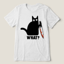 Quel mème de couteau de chat noir