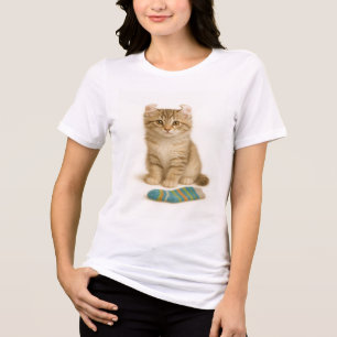 T-shirt En Tri-matière Sock It to Me - American Curl Kitten Edition