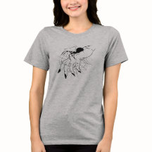 Web Spider & Illustration manuelle