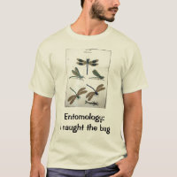 Entomologie : J'ai attrapé l'insecte