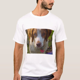 T-shirt Épagneul de Bretagne