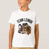 Équipe Lemur