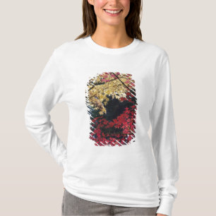 T-shirt Érables en couleur d'automne
