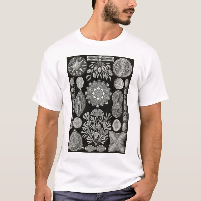 T-shirt Ernst Haeckel - Diatomea2 (Devant)