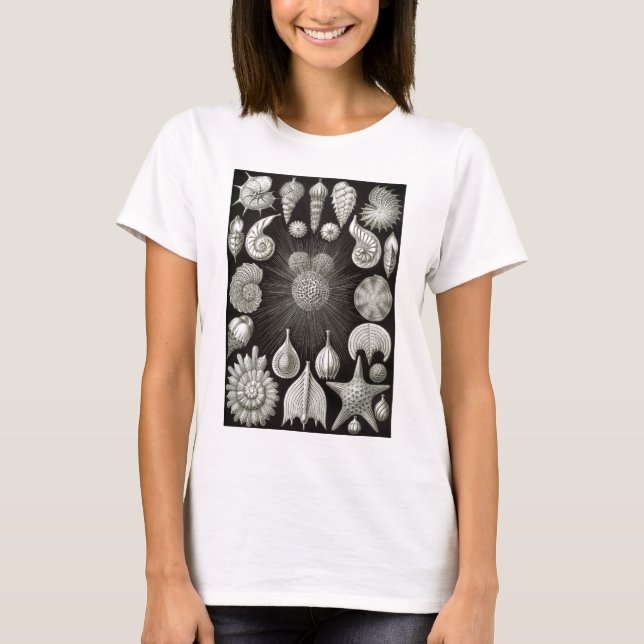 T-shirt Ernst Haeckel Thalamphora (Devant)