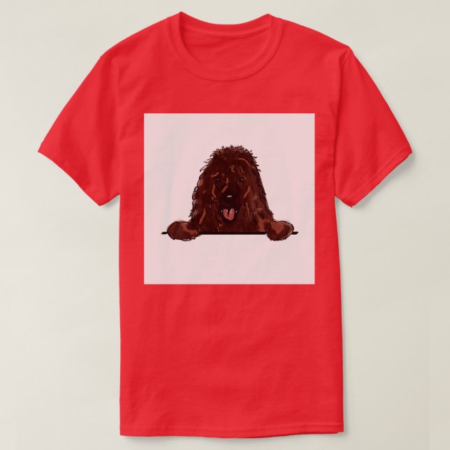 T-shirt Espanelle d'eau irlandaise (Design devant)