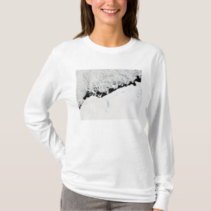 T-shirt Est de l'Antarctique - Terre-Neuve-et-Labrador