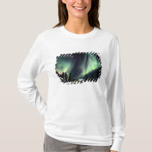T-shirt États-Unis, Alaska, Chena Hot Springs. Aurore boré
