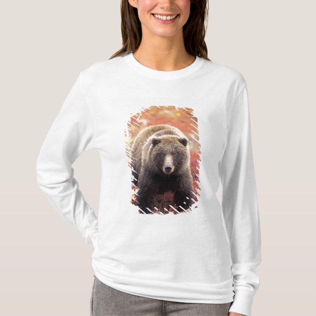 T-shirt États-Unis, Alaska, Denali NP, femelle Grizzly Bea (Devant)