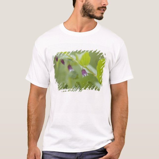 T-shirt États-Unis, Alaska, Glacier Bay National Park. (Devant)
