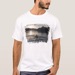 T-shirt États-Unis, Alaska, Glacier Bay National Park,
