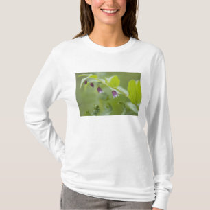 T-shirt États-Unis, Alaska, Glacier Bay National Park.