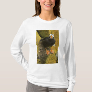 T-shirt États-Unis, Alaska, Îles Pribilof, St Paul. Huppé