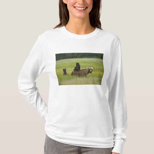 T-shirt États-Unis, Alaska, Lake Clark National Park (Devant)